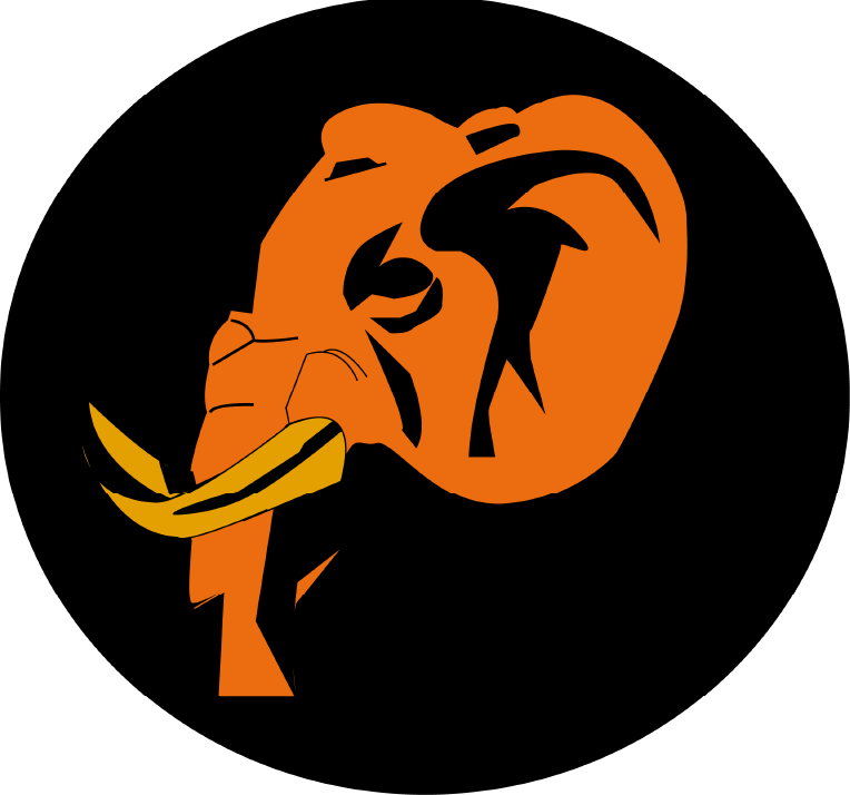Out2Safari logo